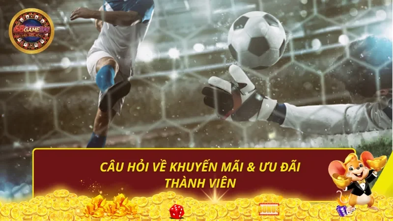 Câu hỏi về khuyến mãi & ưu đãi thành viên