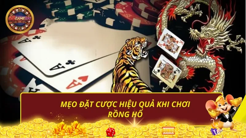 Mẹo đặt cược hiệu quả khi chơi Rồng Hổ